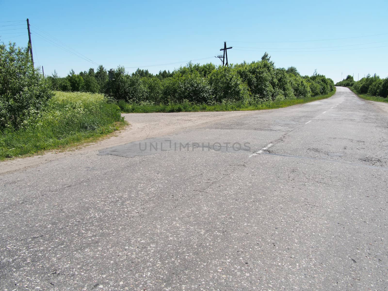 asphalt road in forest