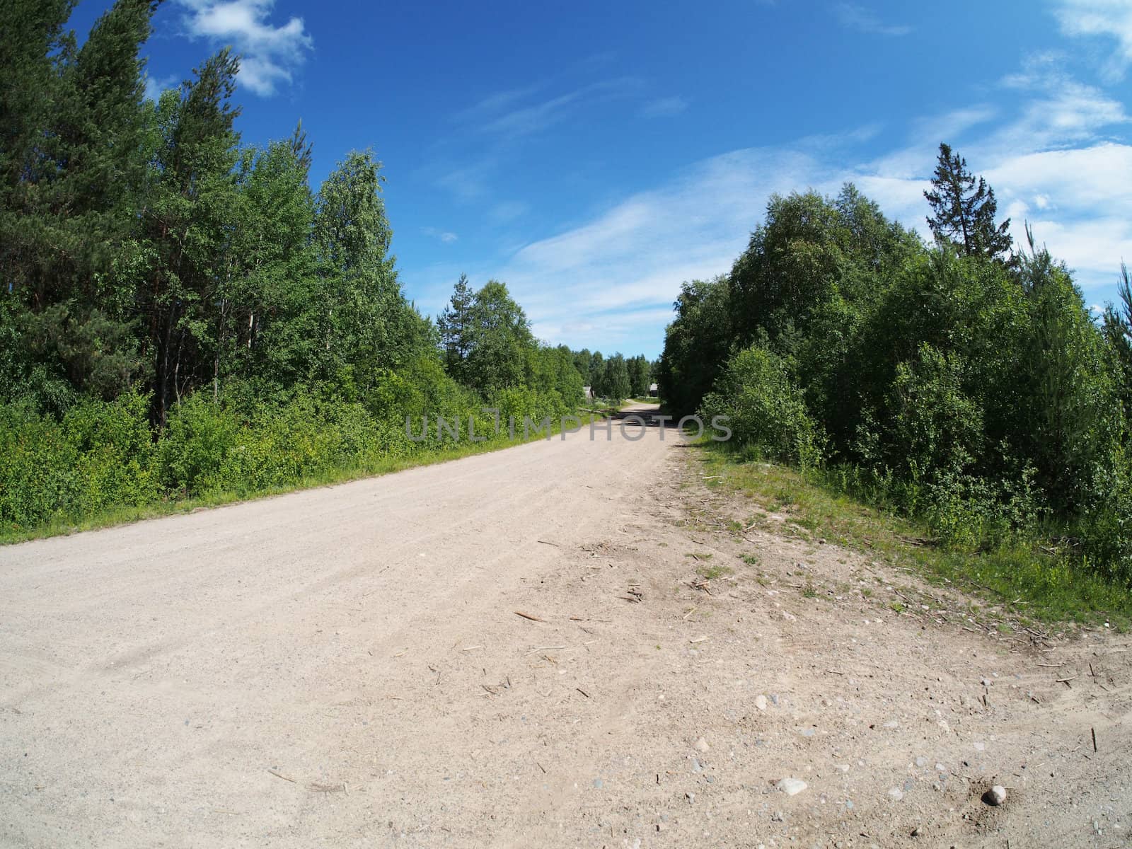 forest road