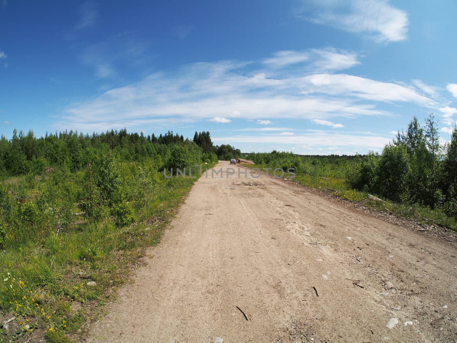 forest road
