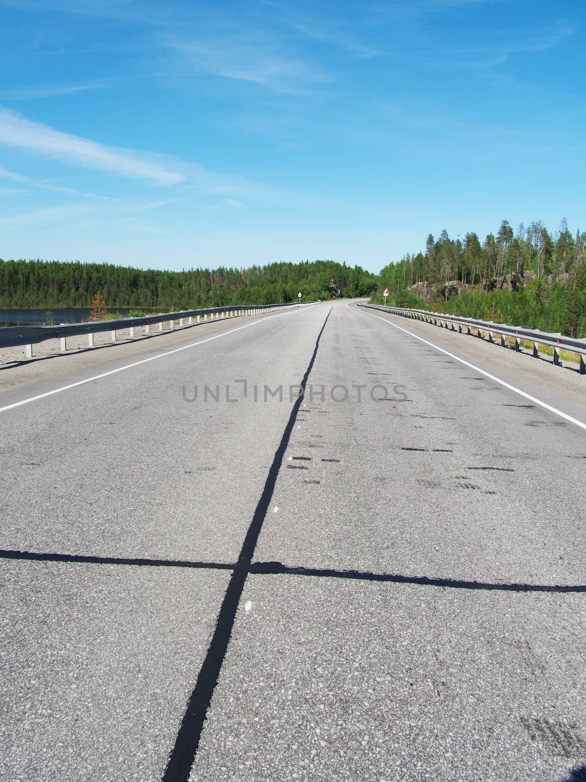 asphalt road in the woods