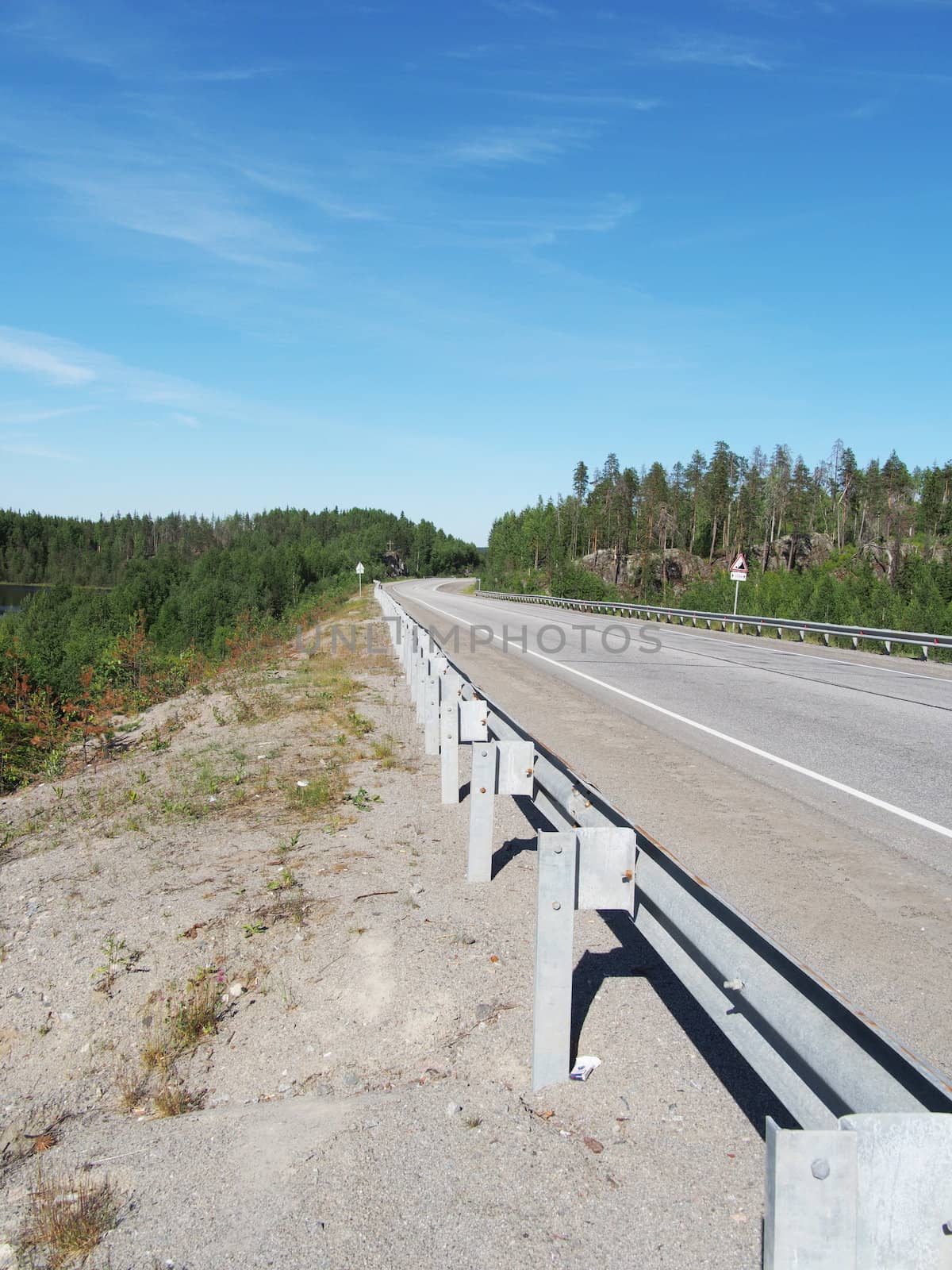 asphalt road in forest