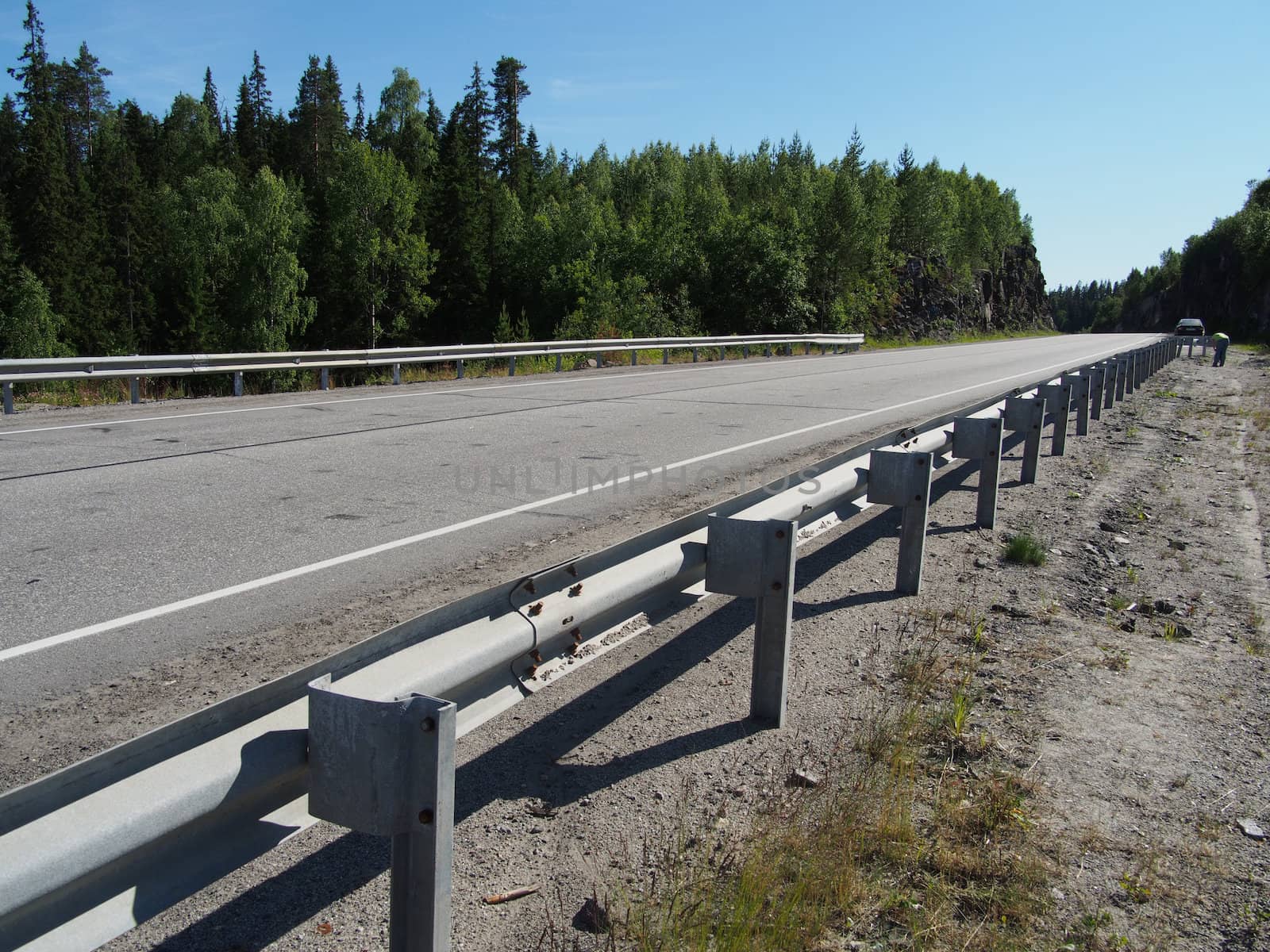 asphalt road in forest