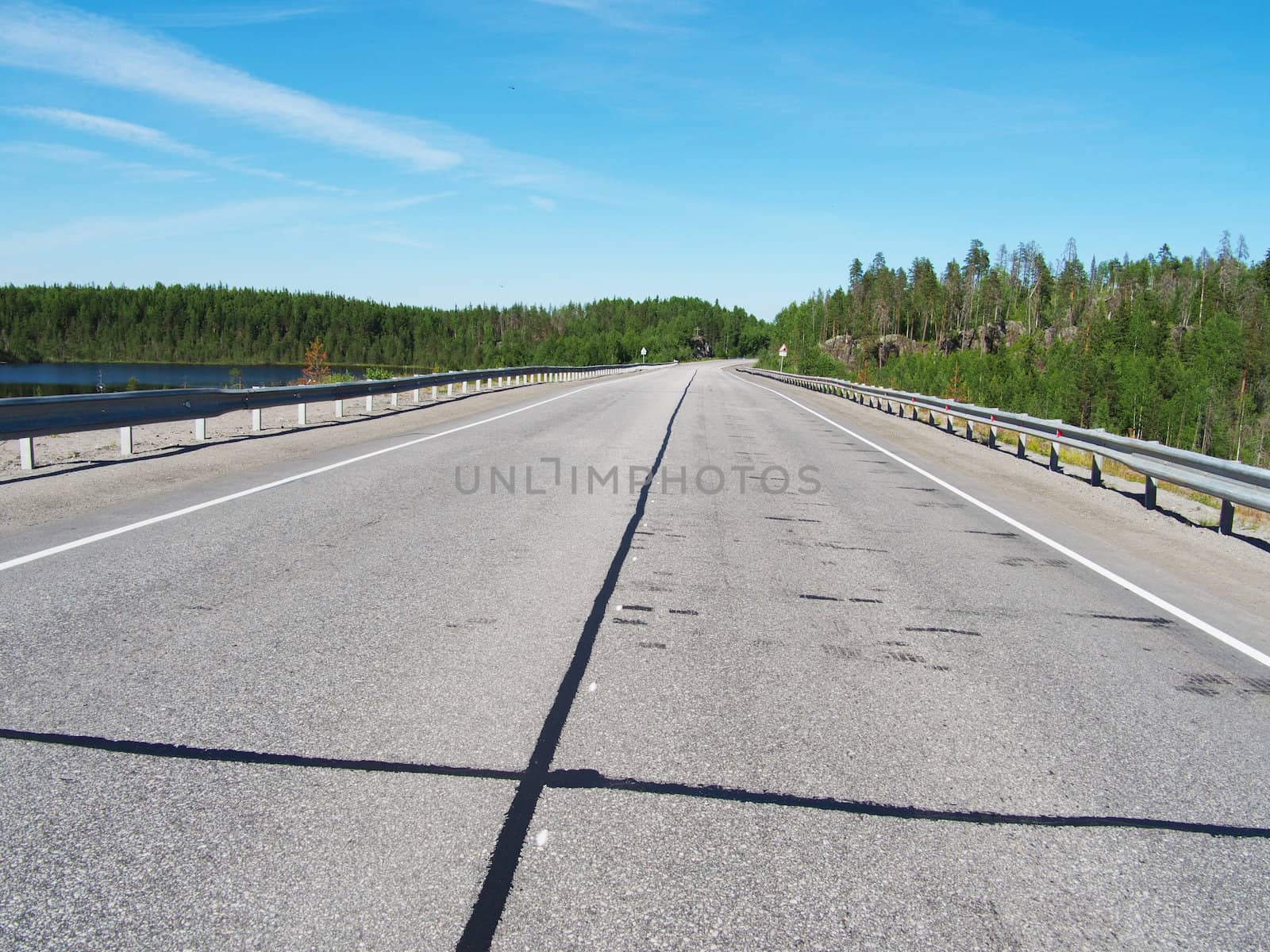 asphalt road in the woods by Enskanto