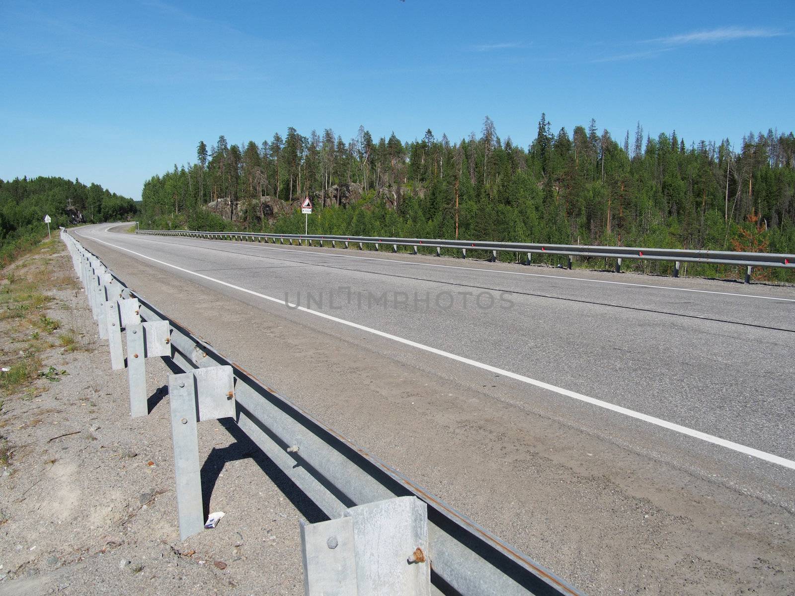 asphalt road in forest