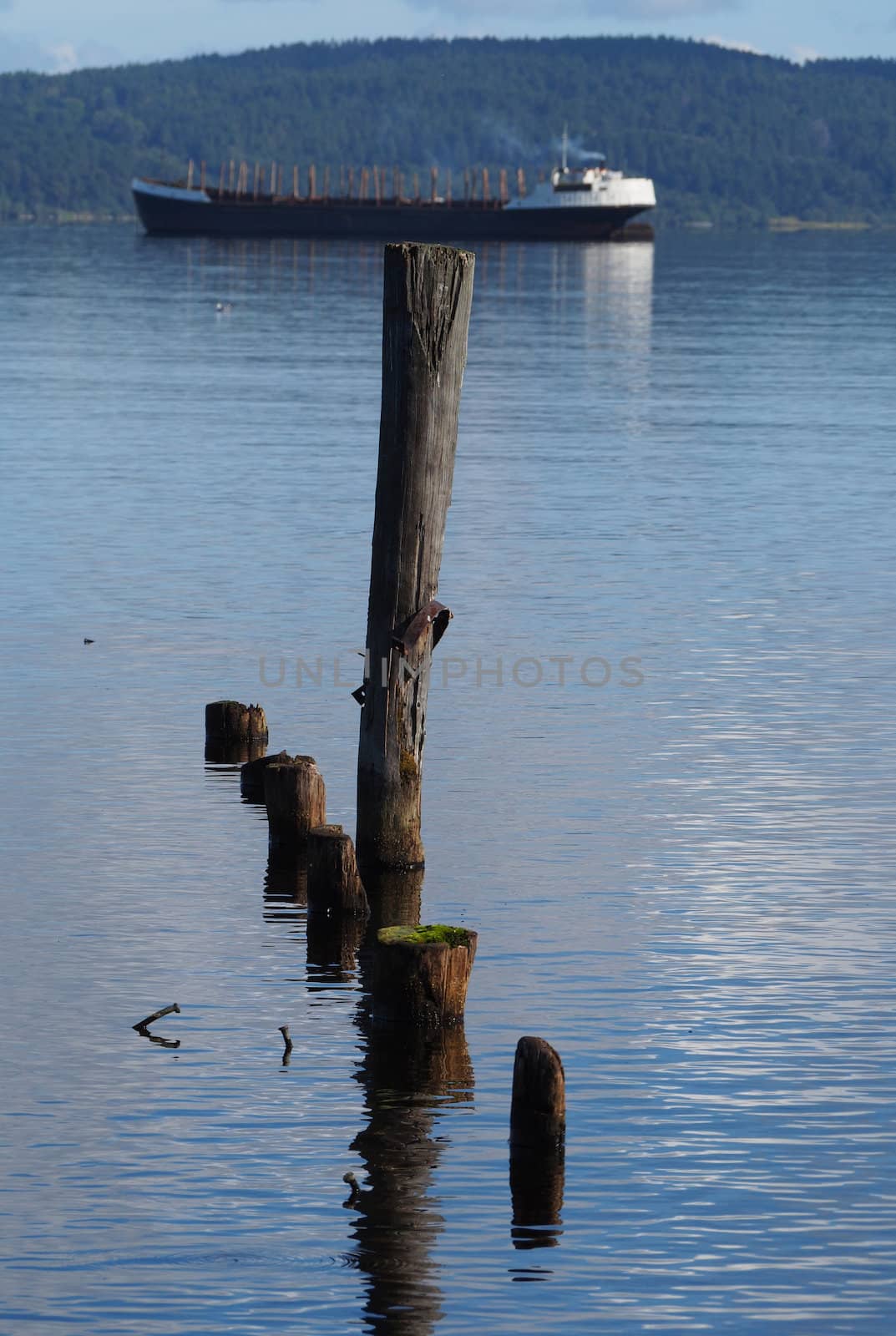 ship and piles on the lake by Enskanto