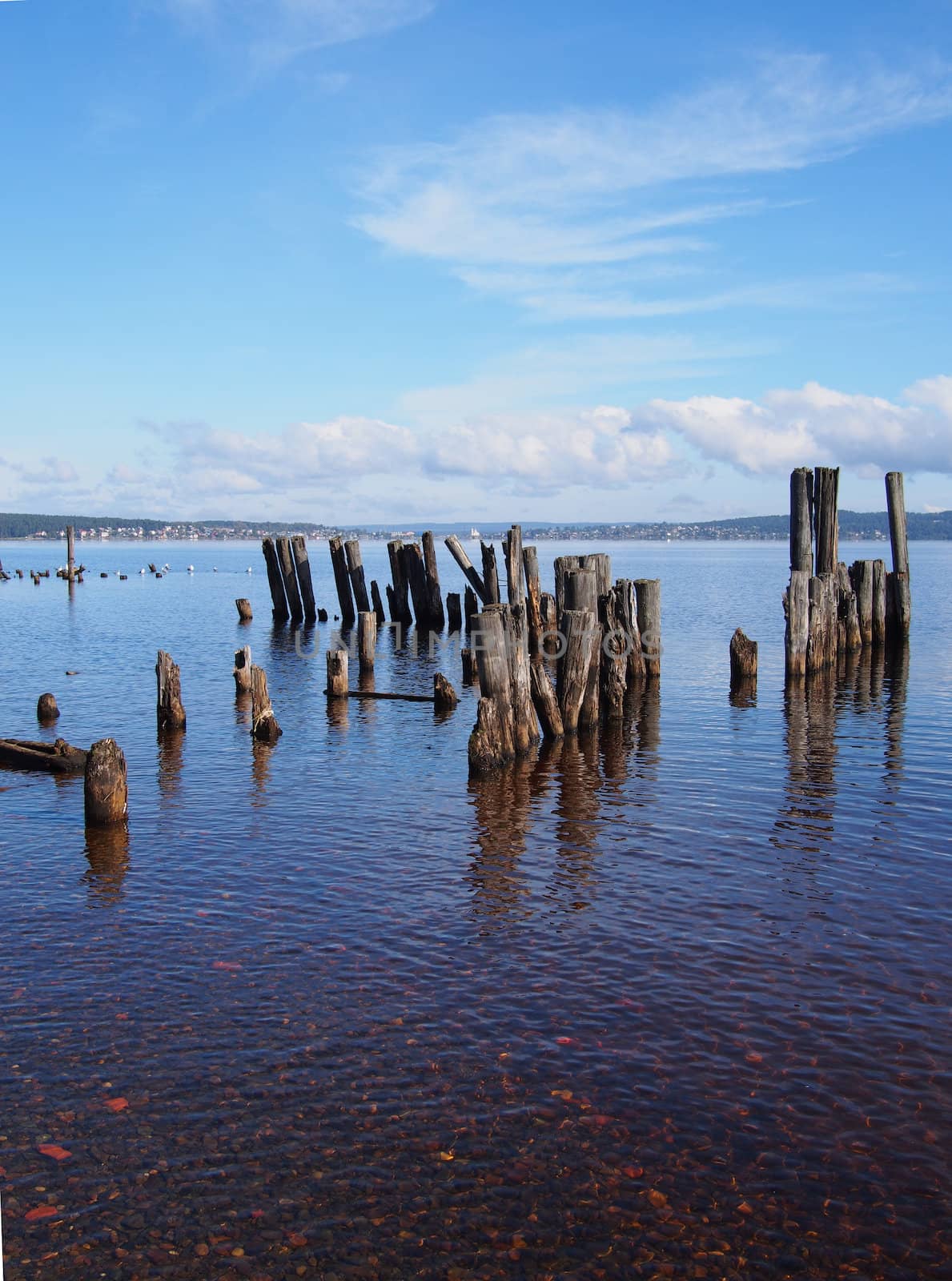 old piles in the lake