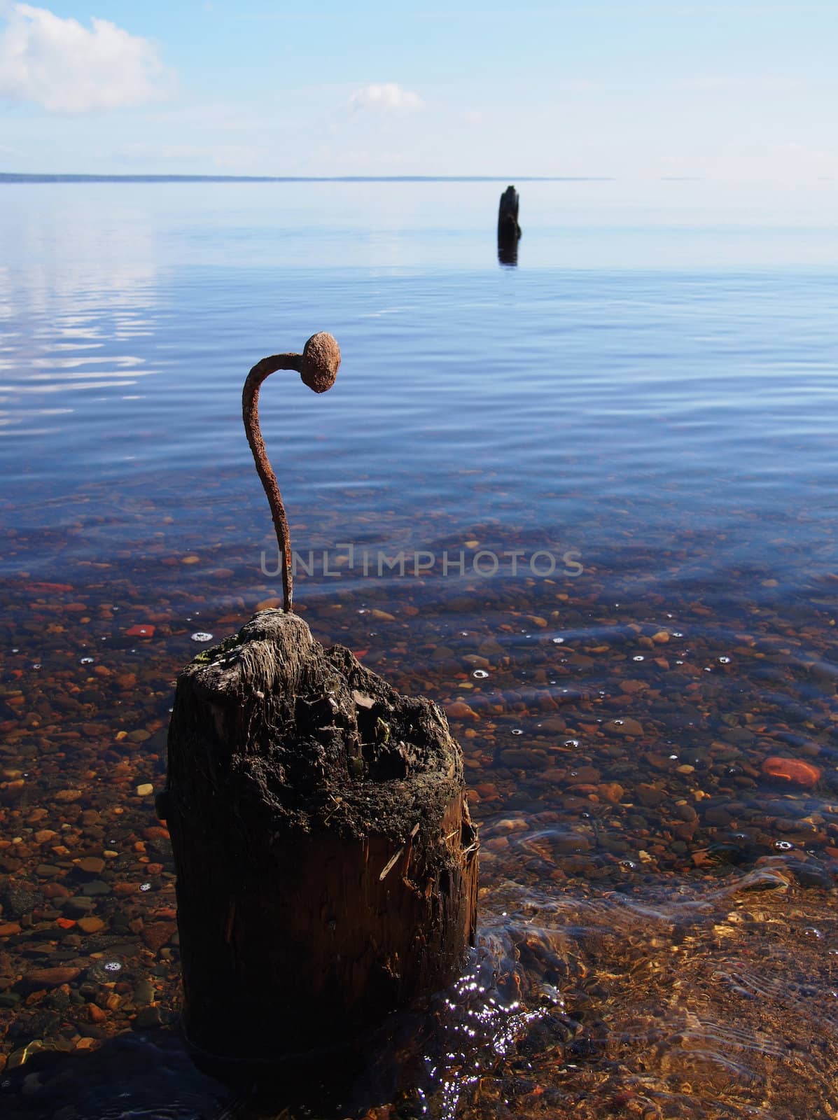 Curved nail in the old pile on the lake