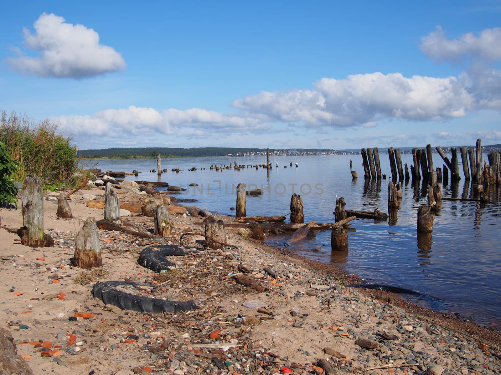 old piles in the lake