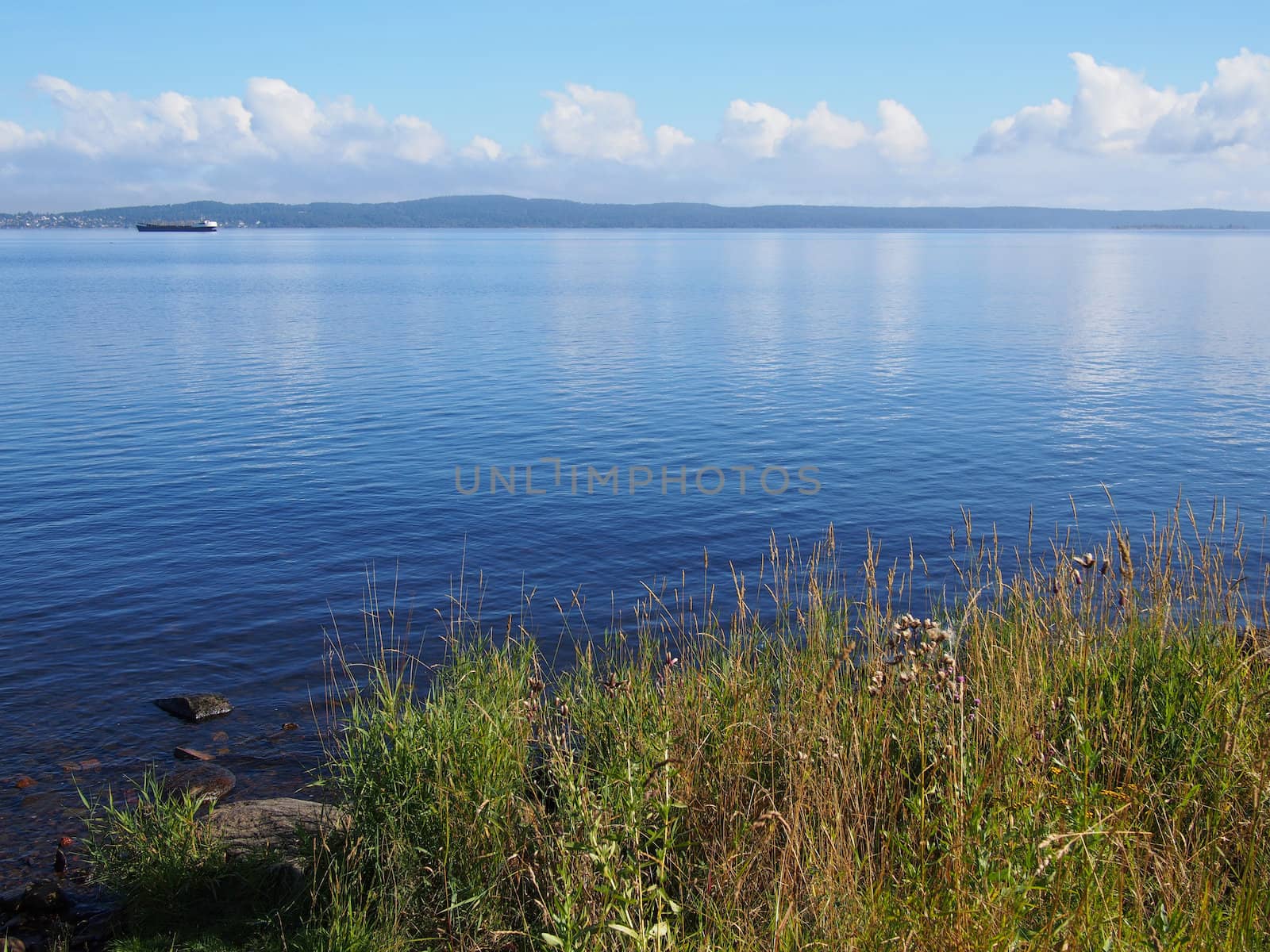 lakeshore