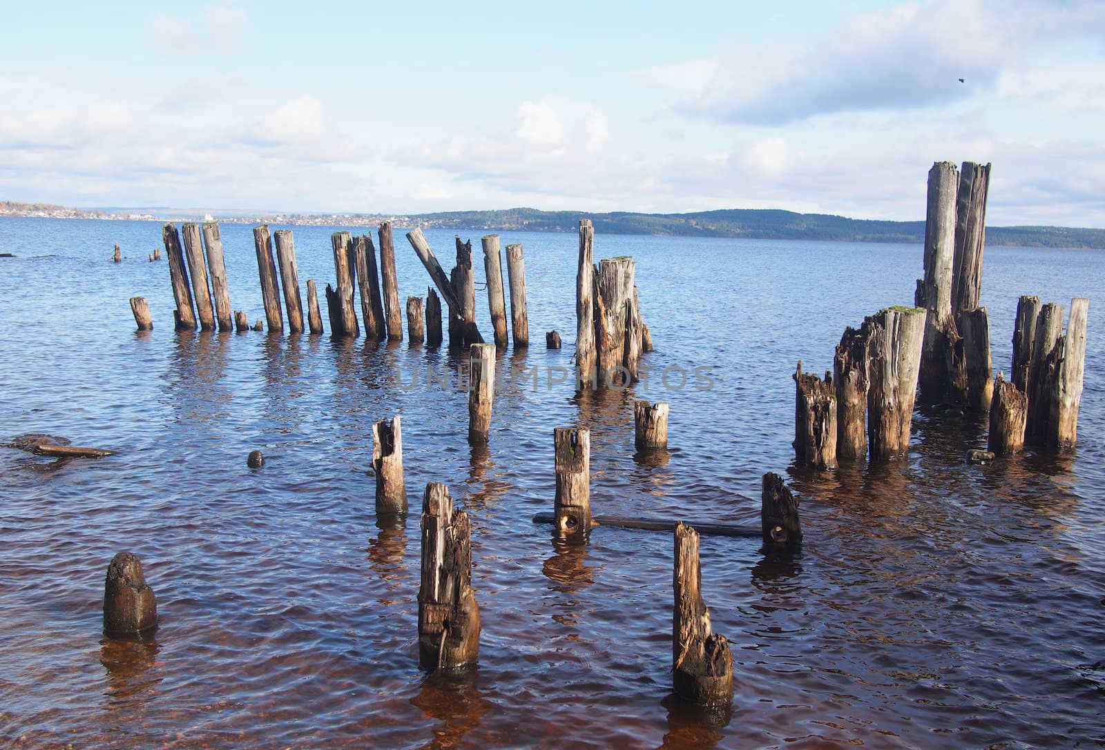 old piles in the lake