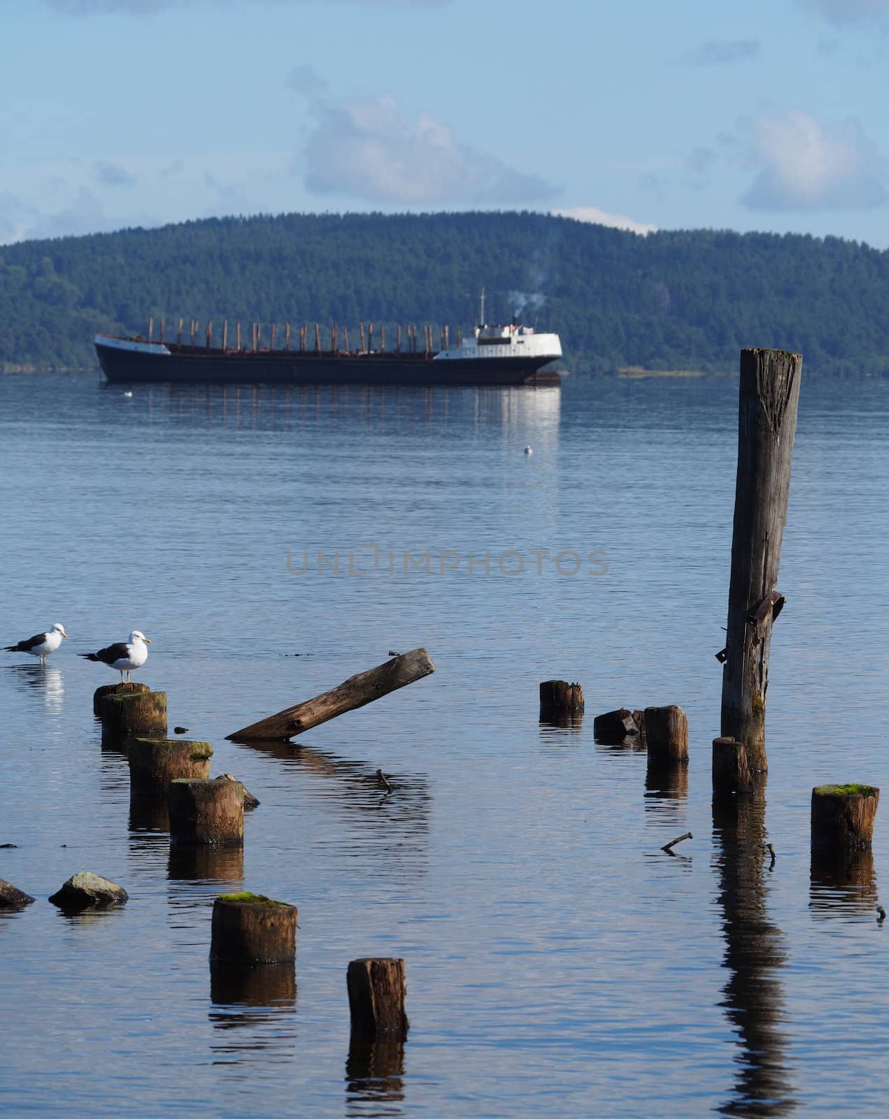 ship, piles and gulls on the lake by Enskanto