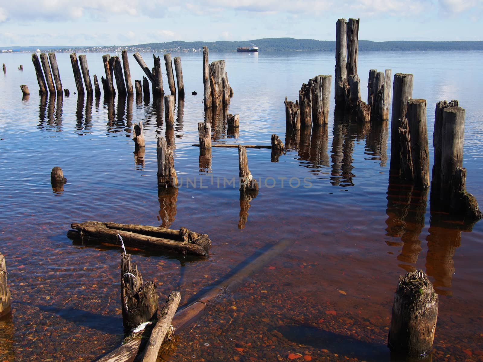 old piles in the lake