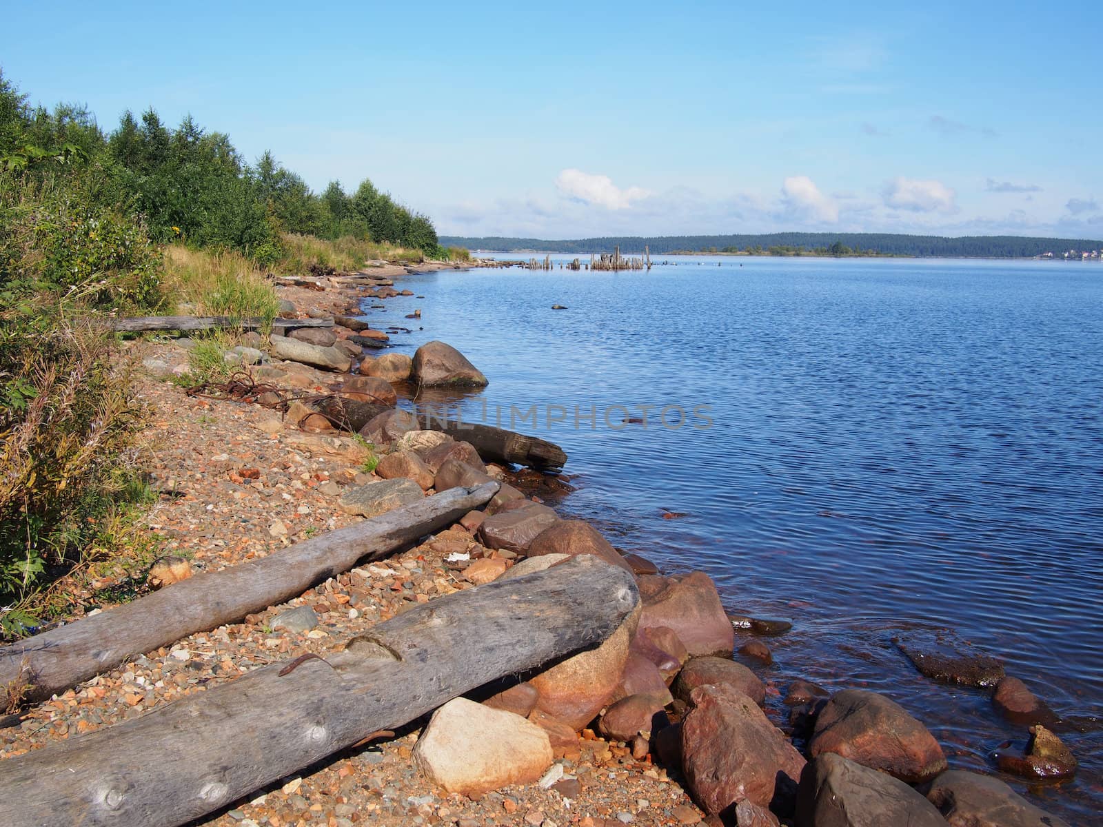 lakeshore