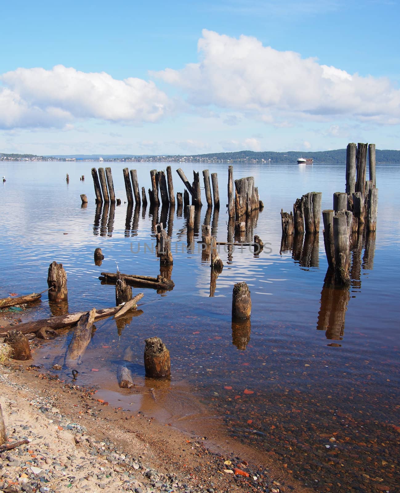 old piles in the lake