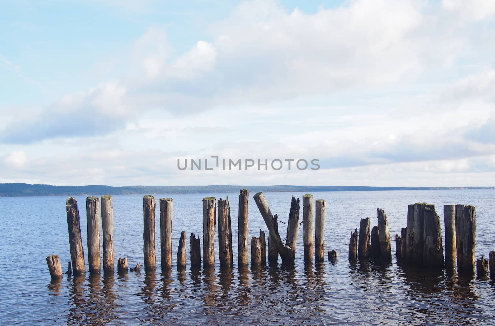 old piles in the lake