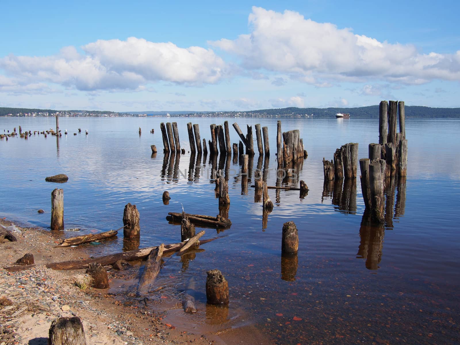 old piles in the lake