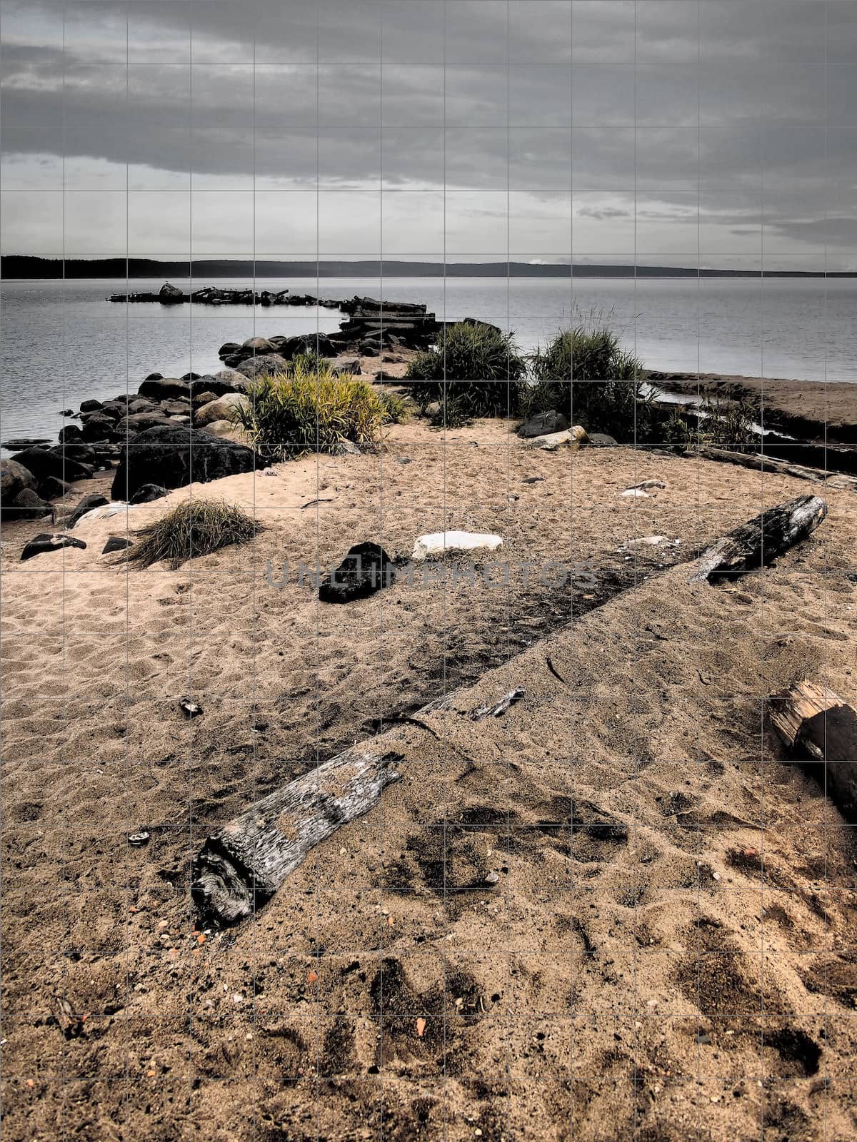 lakeshore