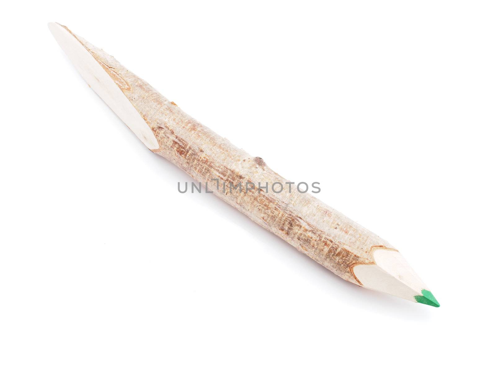 pencil a branch on a white background
