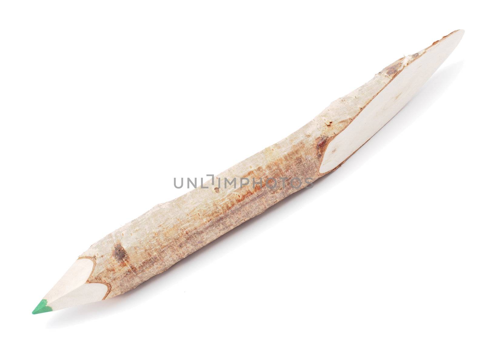 pencil a branch on a white background
