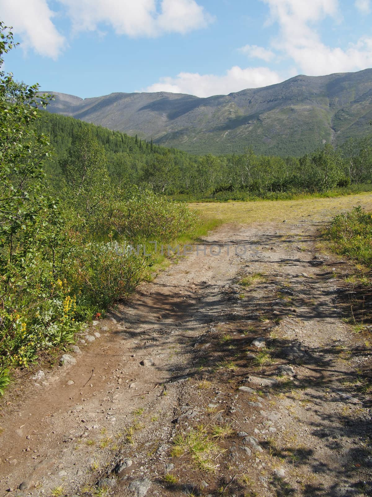 road in the mountains