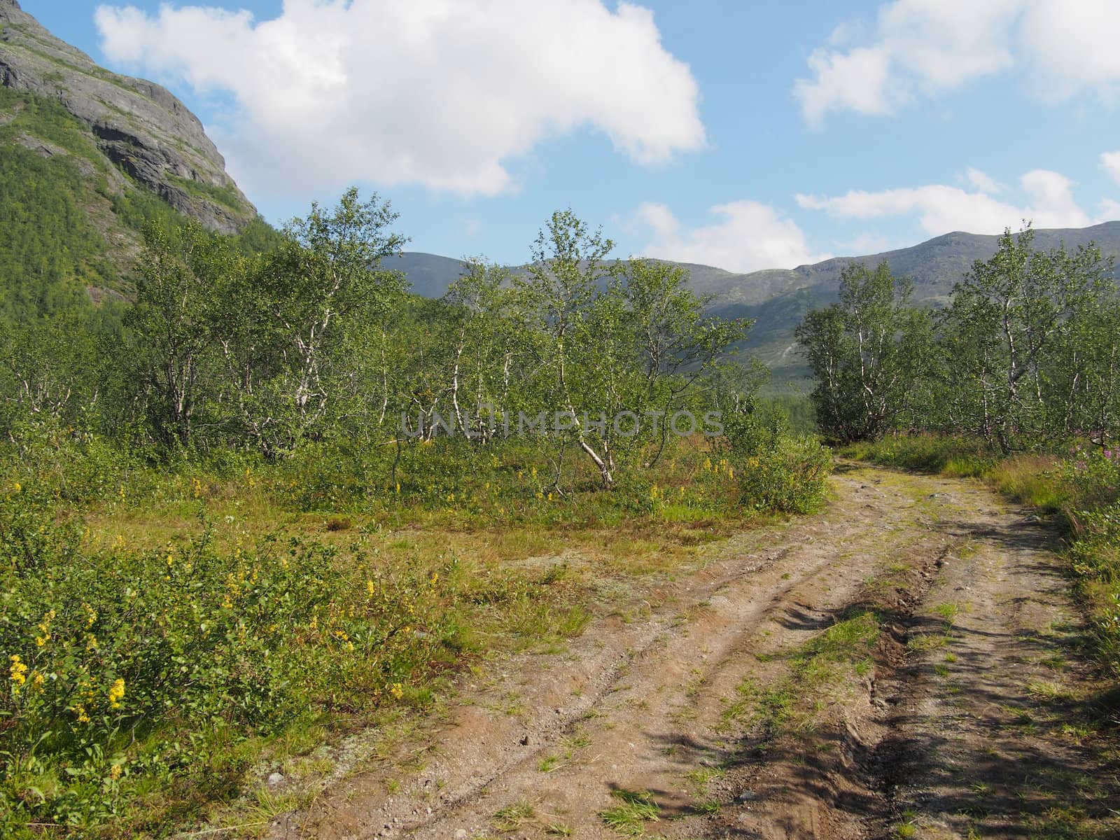 road in the mountains