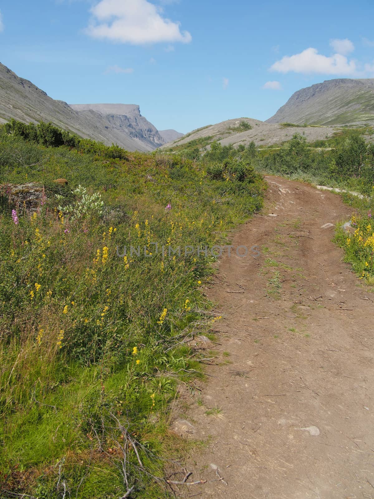 road in the mountains