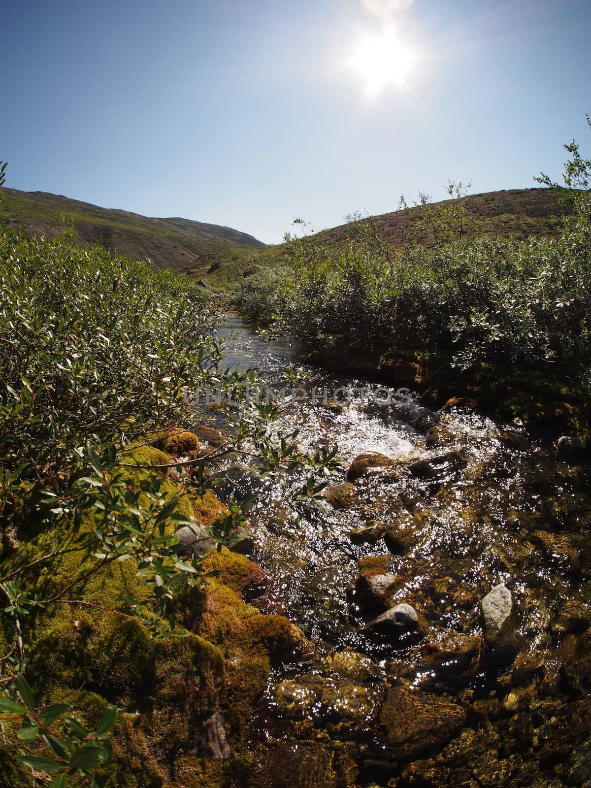 mountain river