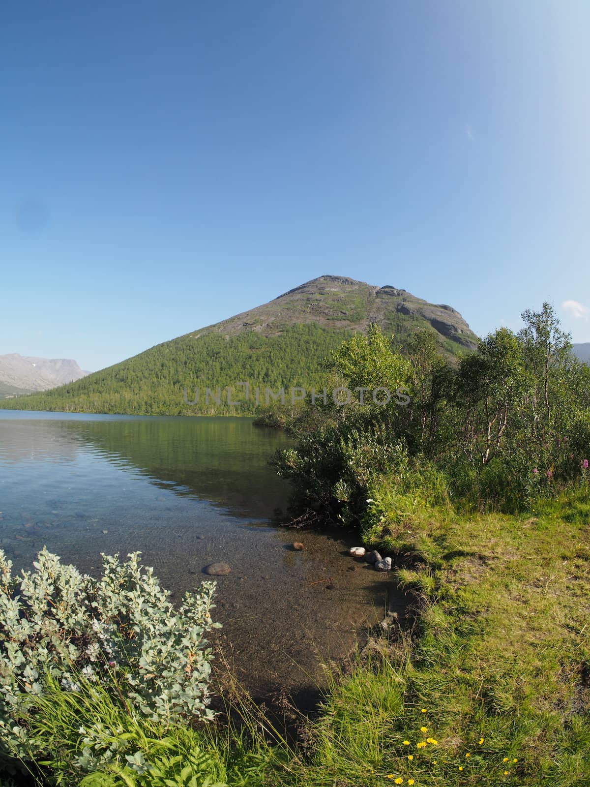 Lake in the mountains