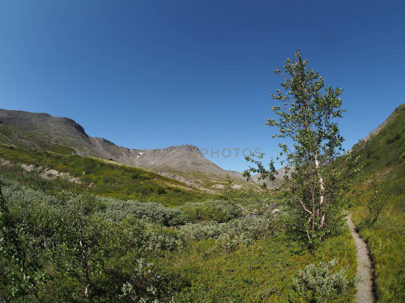 path in the mountains