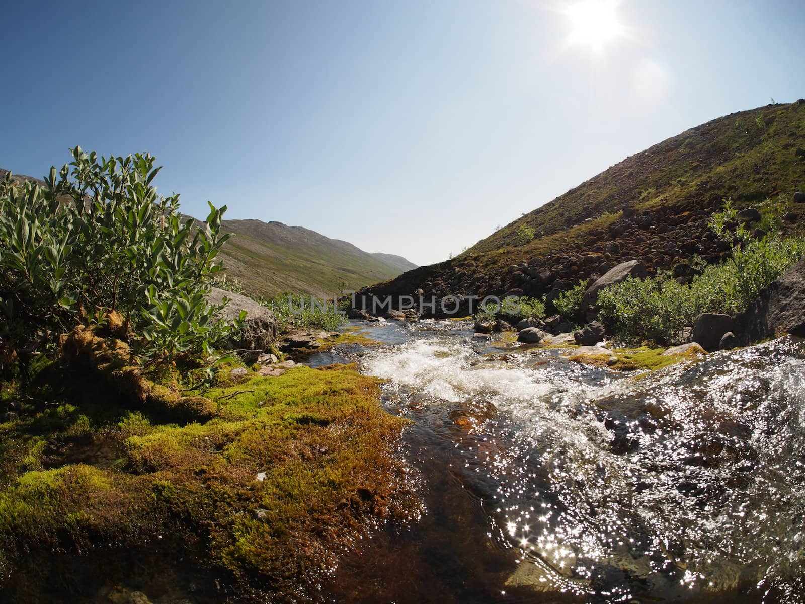 mountain river