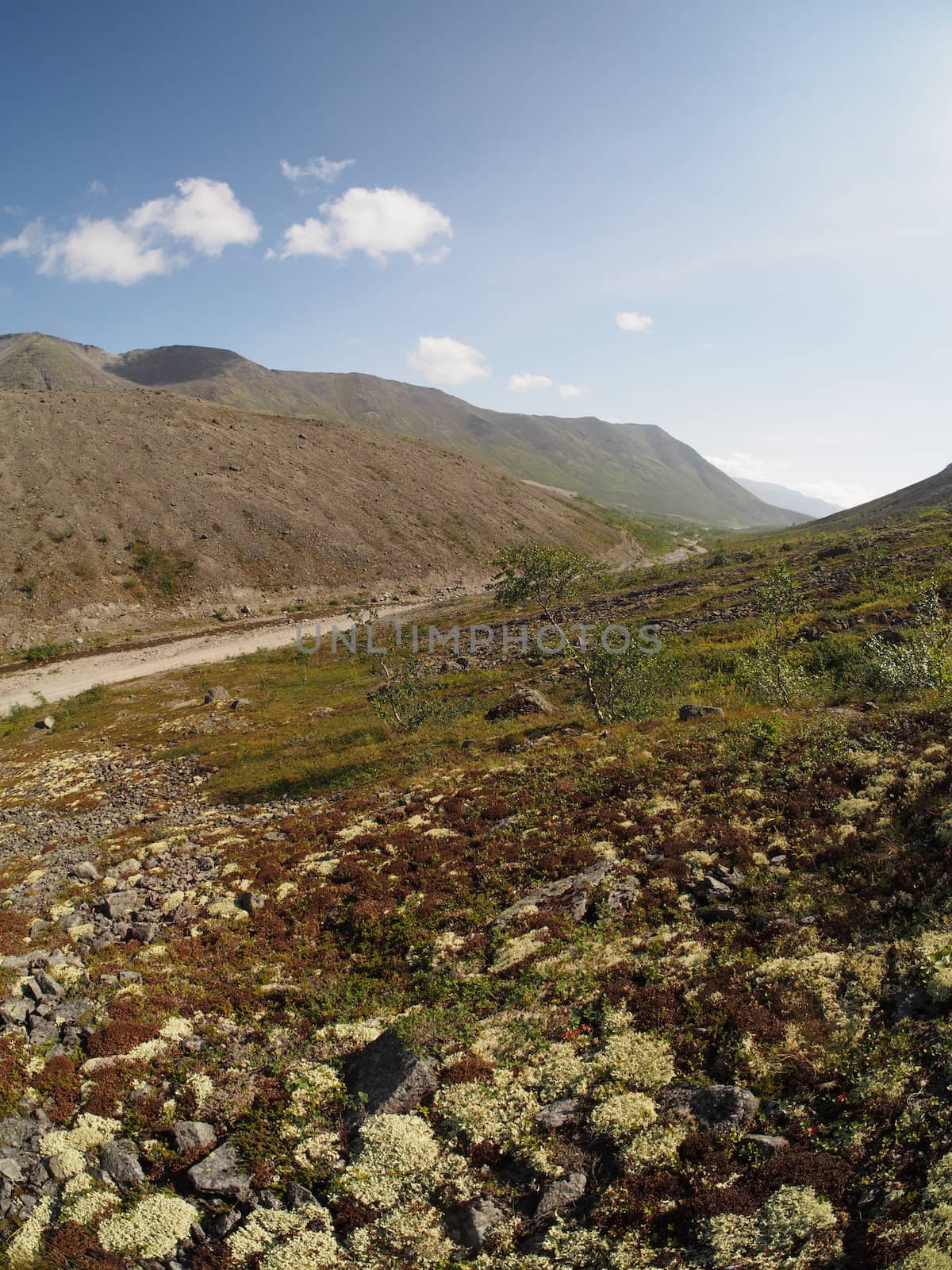 road in the mountains
