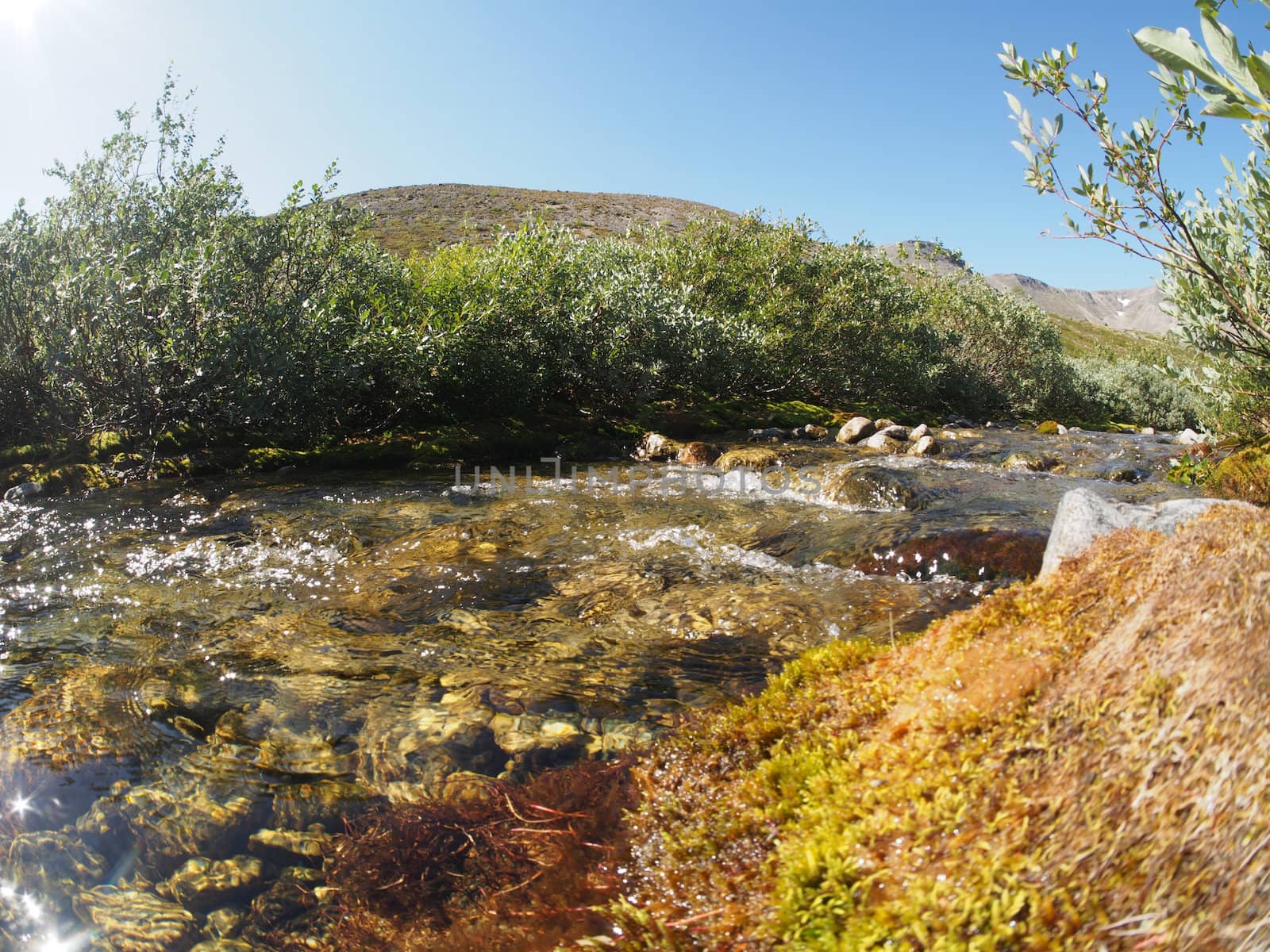 mountain river