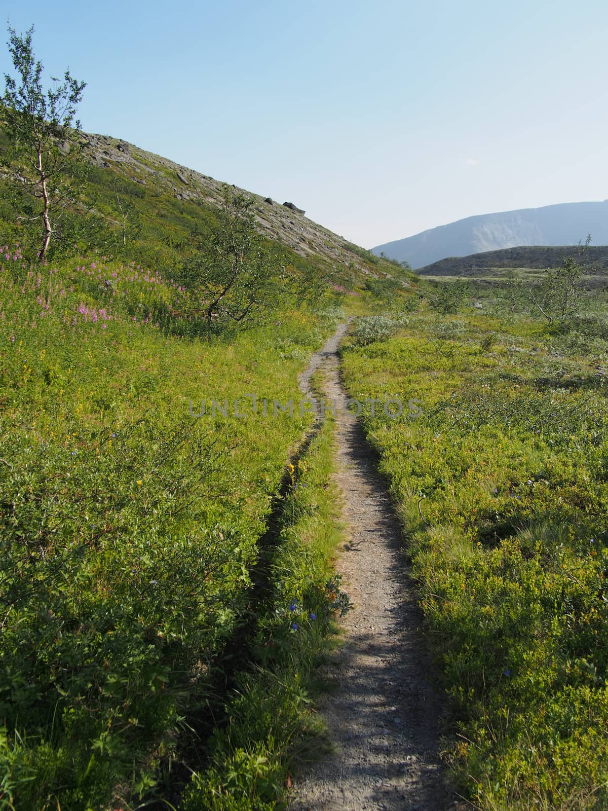path in the mountains