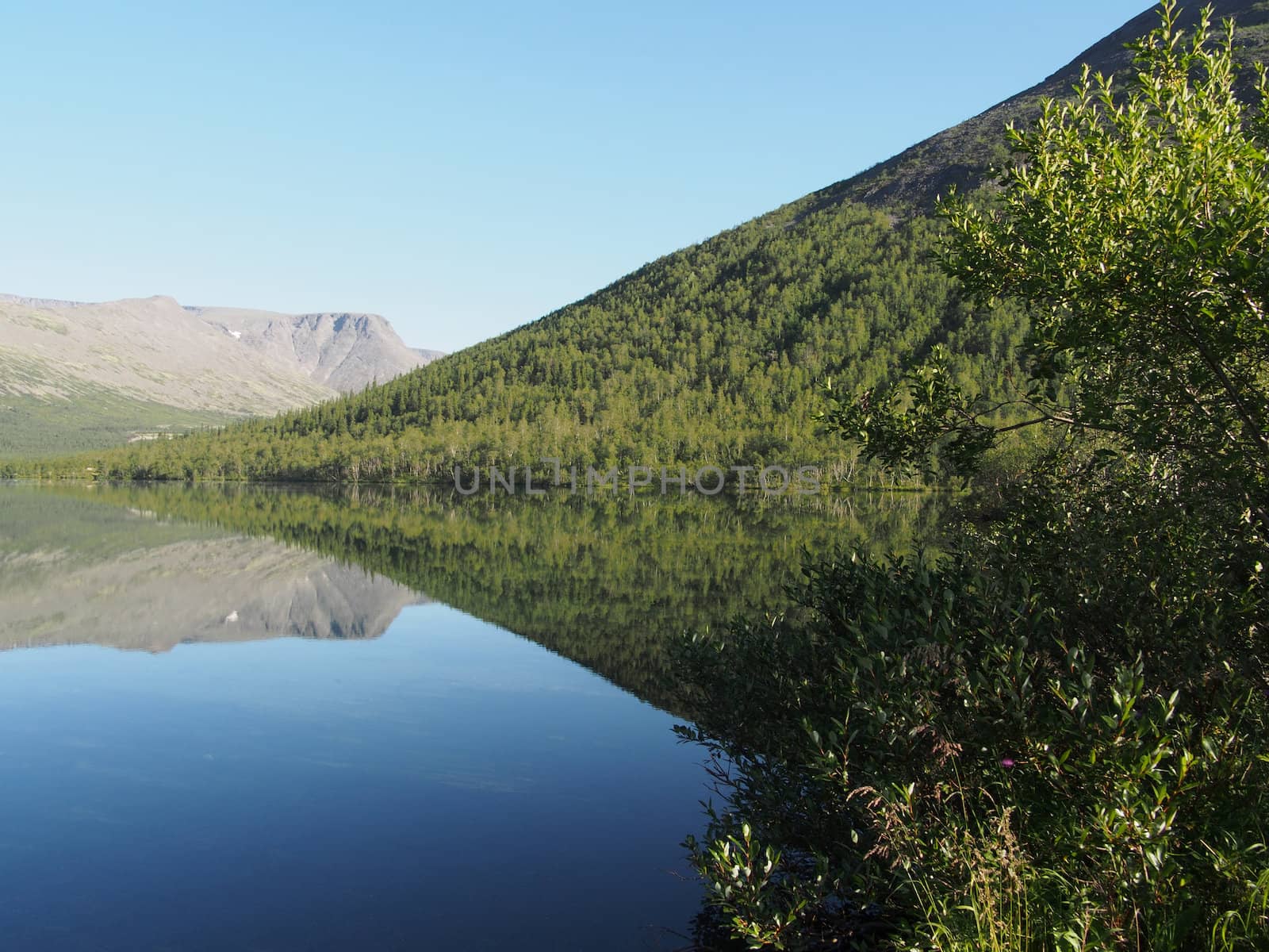 Lake in the mountains