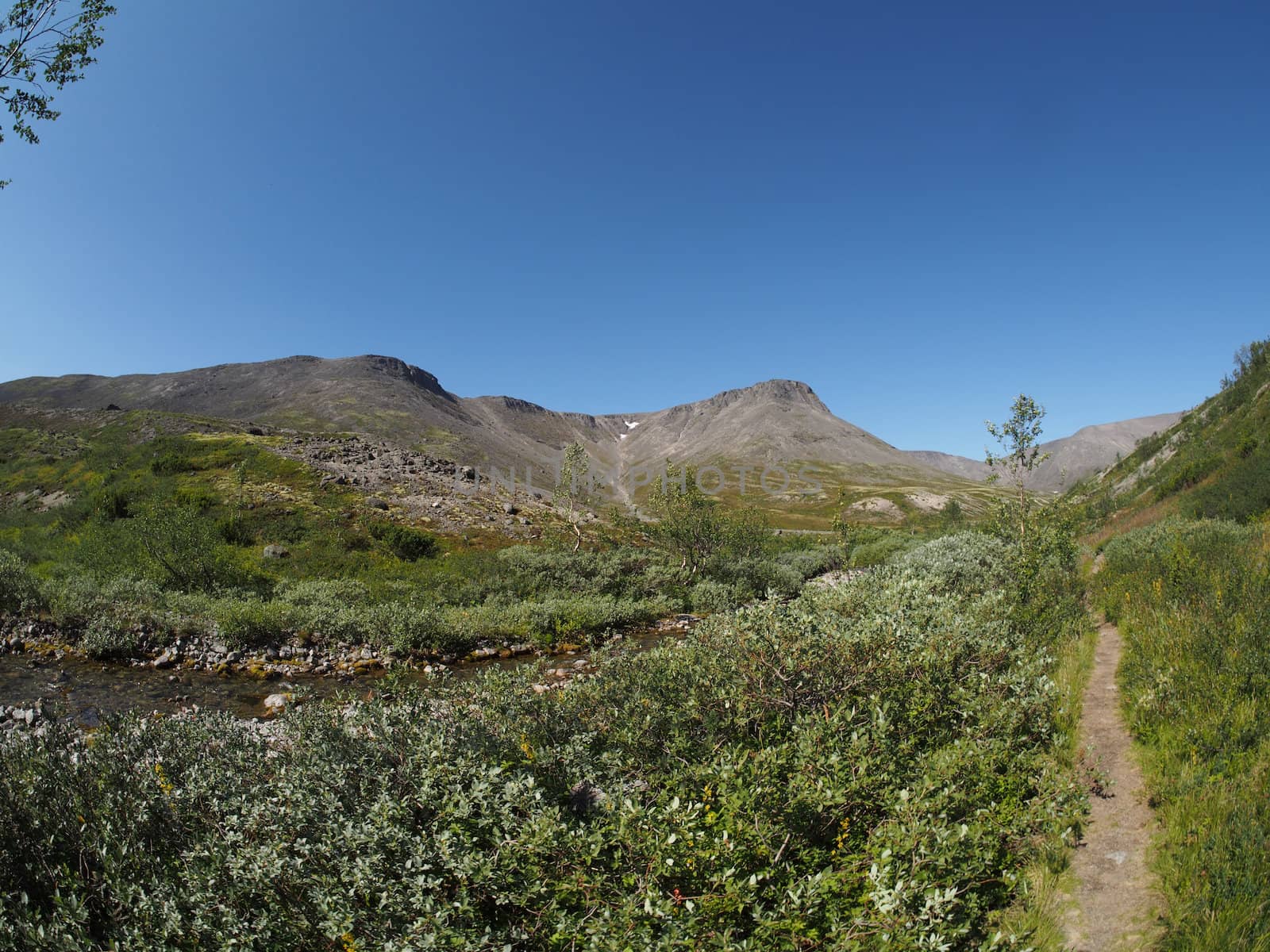 path in the mountains