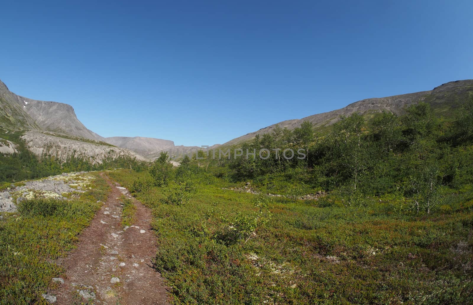 path in the mountains