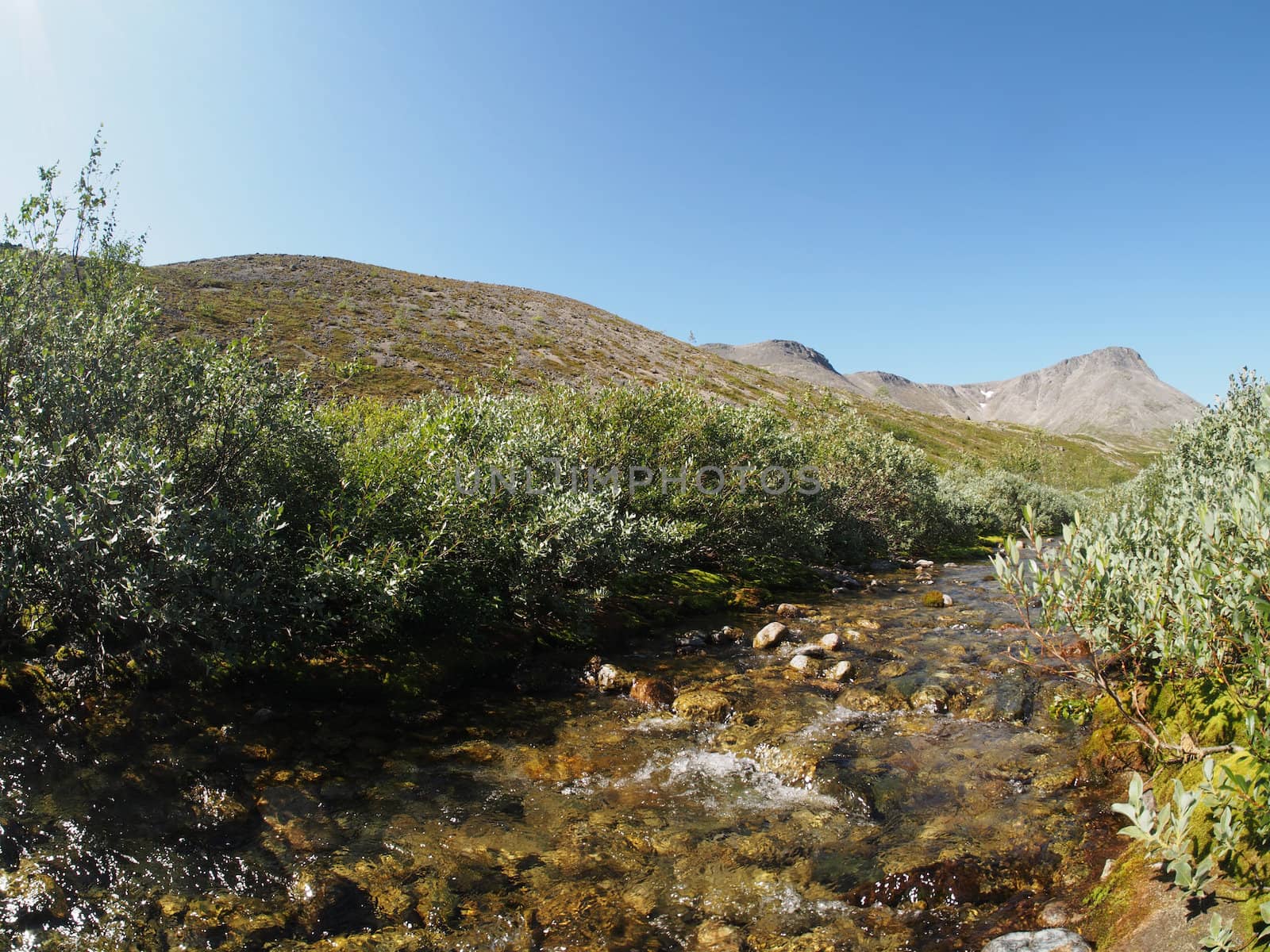 mountain river
