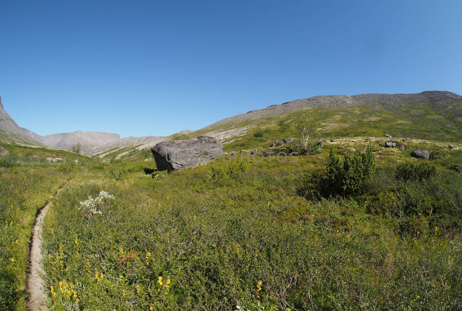 path in the mountains