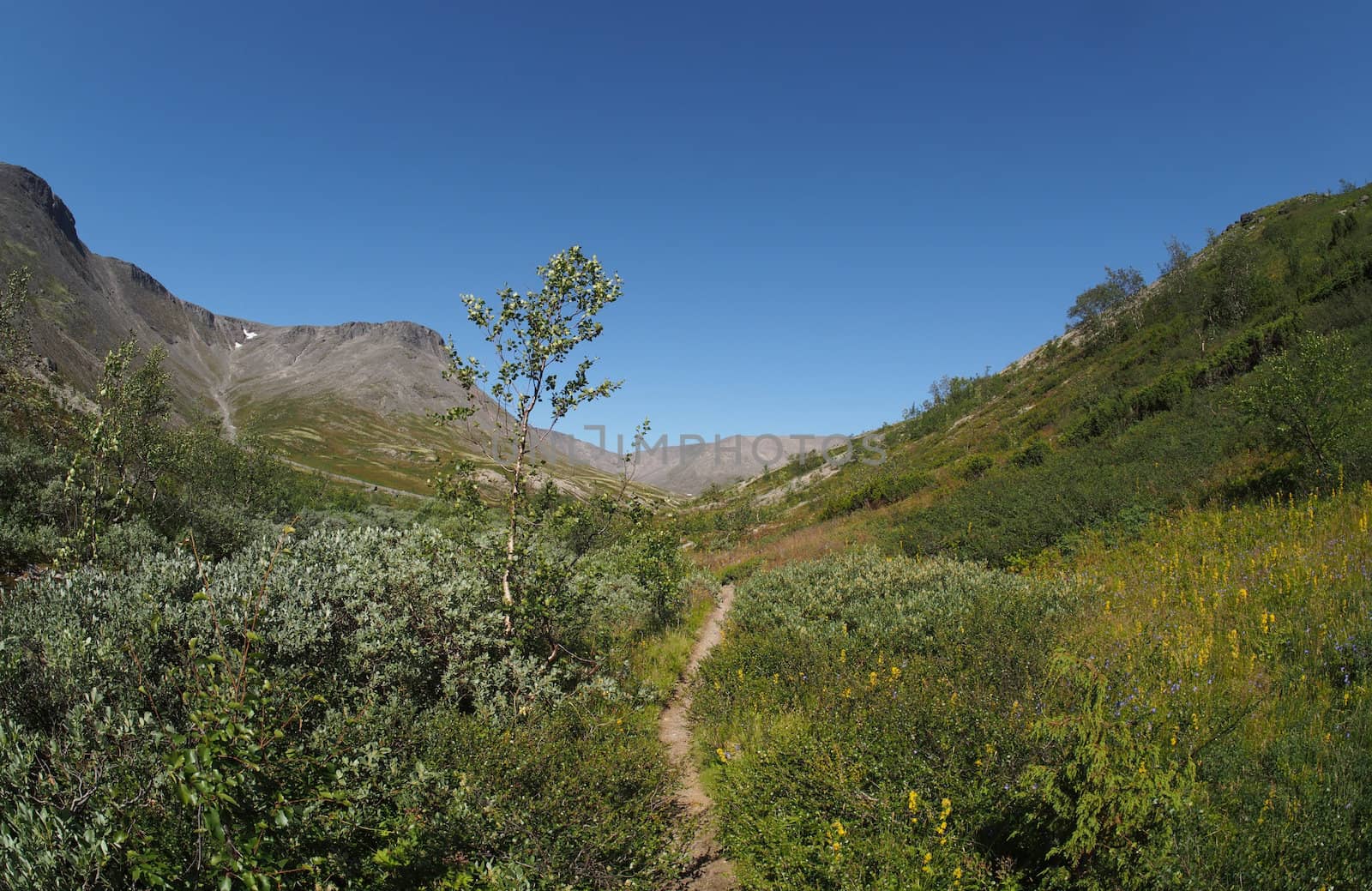 path in the mountains
