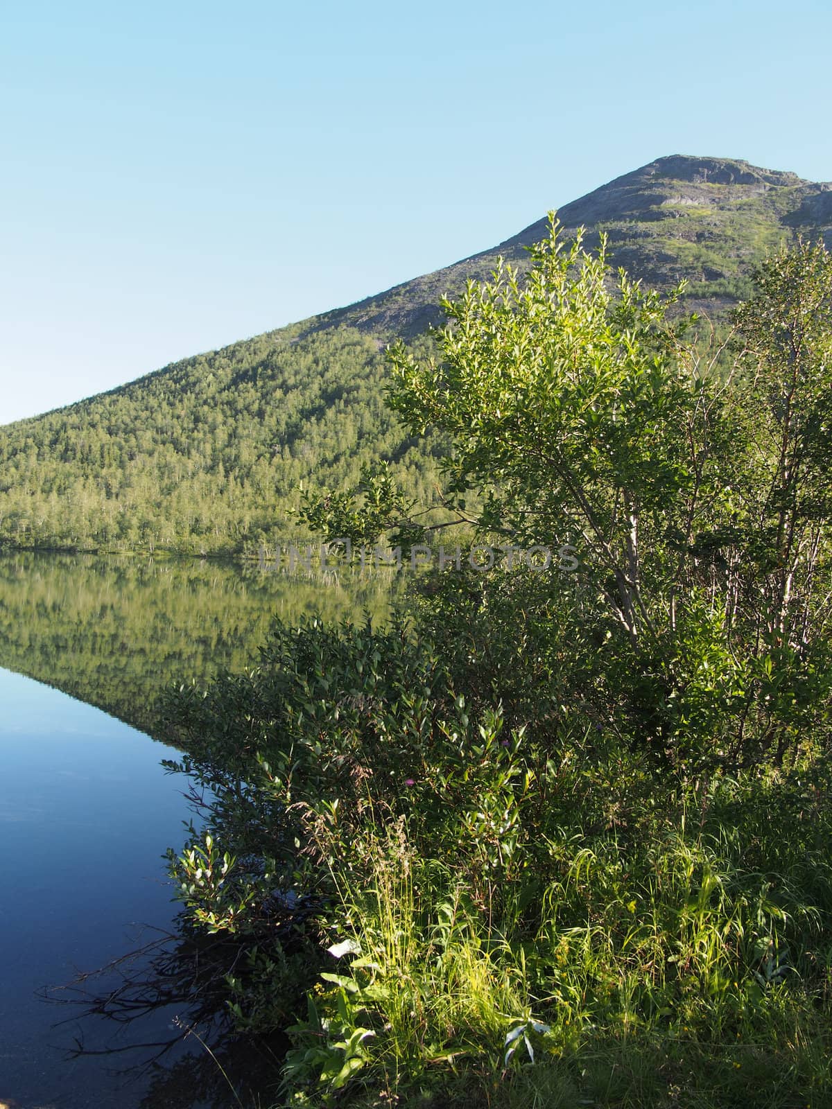 Lake in the mountains