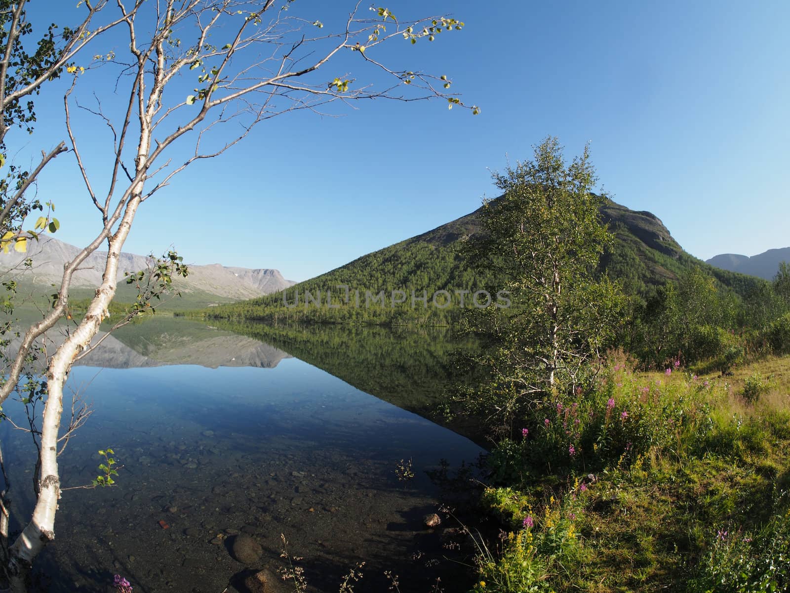 Lake in the mountains