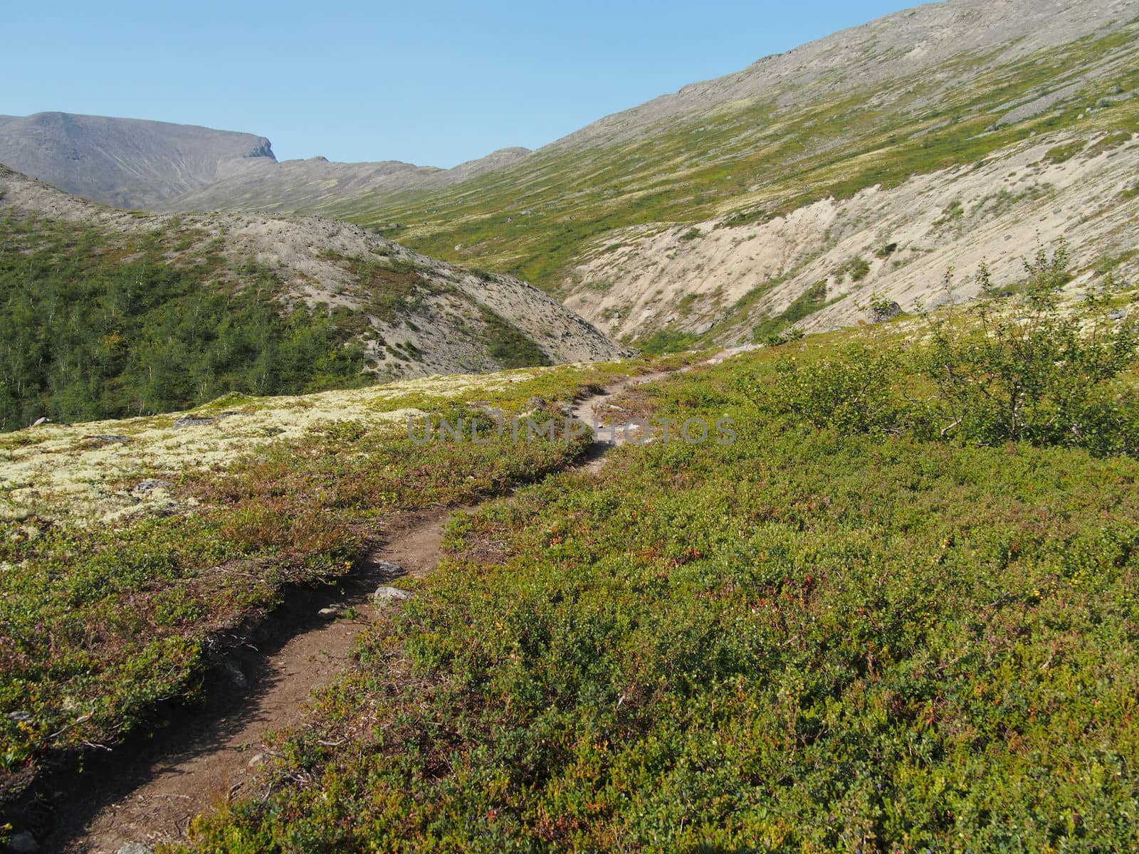 path in the mountains
