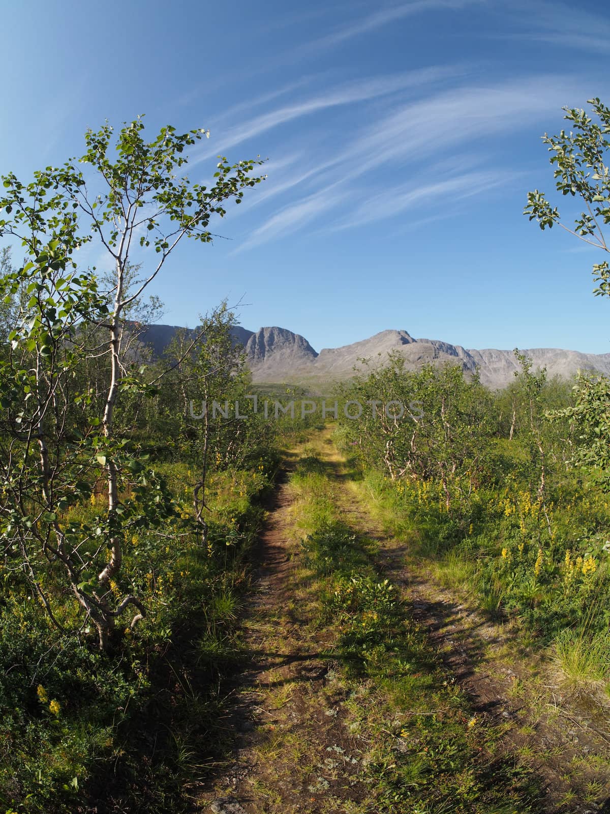 road in the mountains