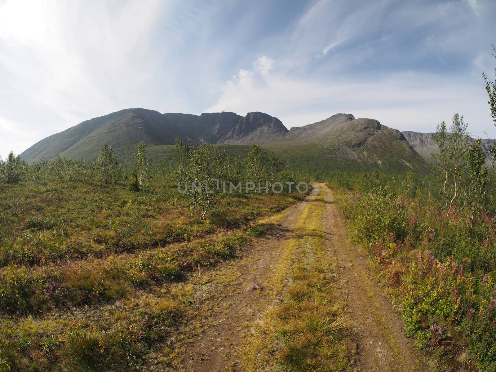 road in the mountains