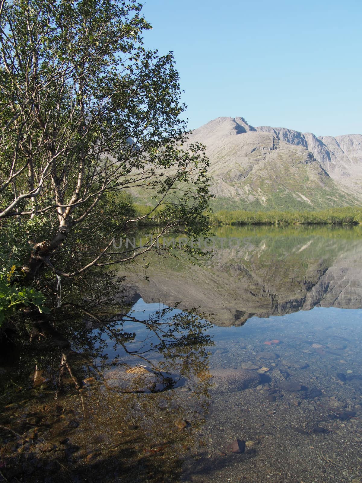 Lake in the mountains