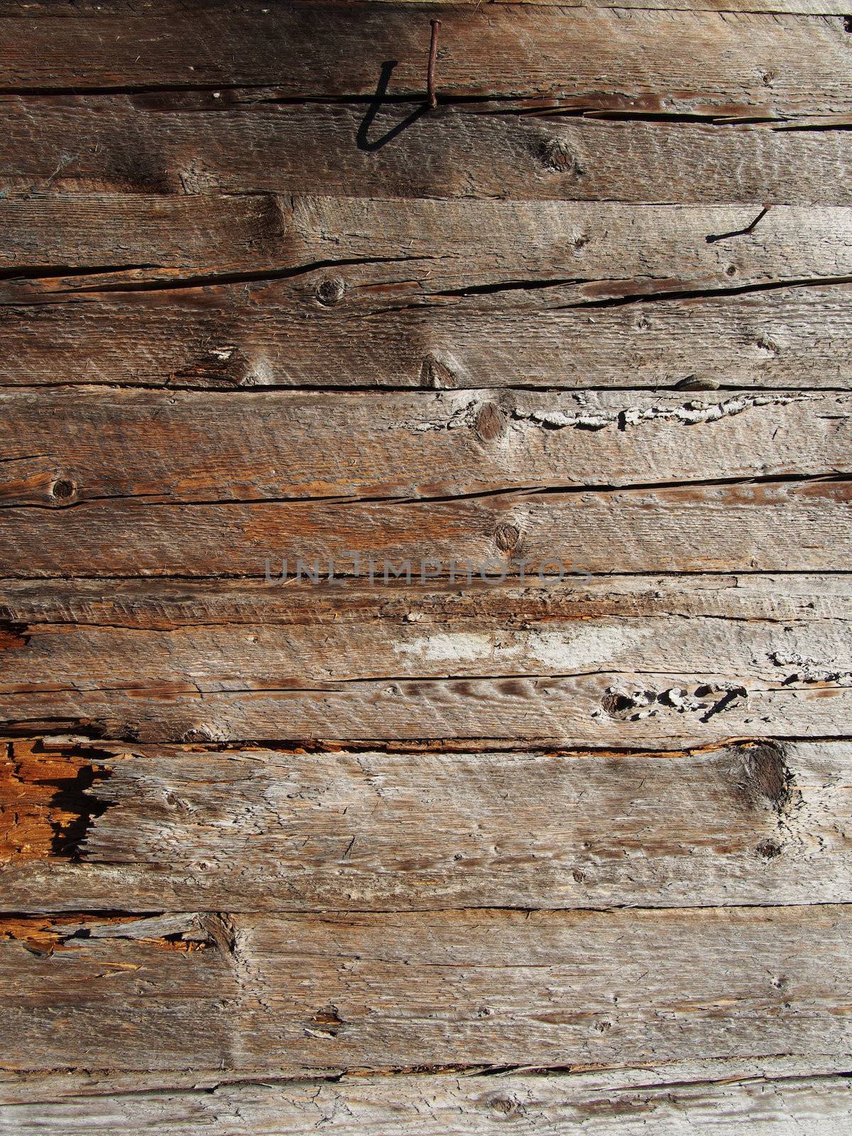 wooden wall by Enskanto