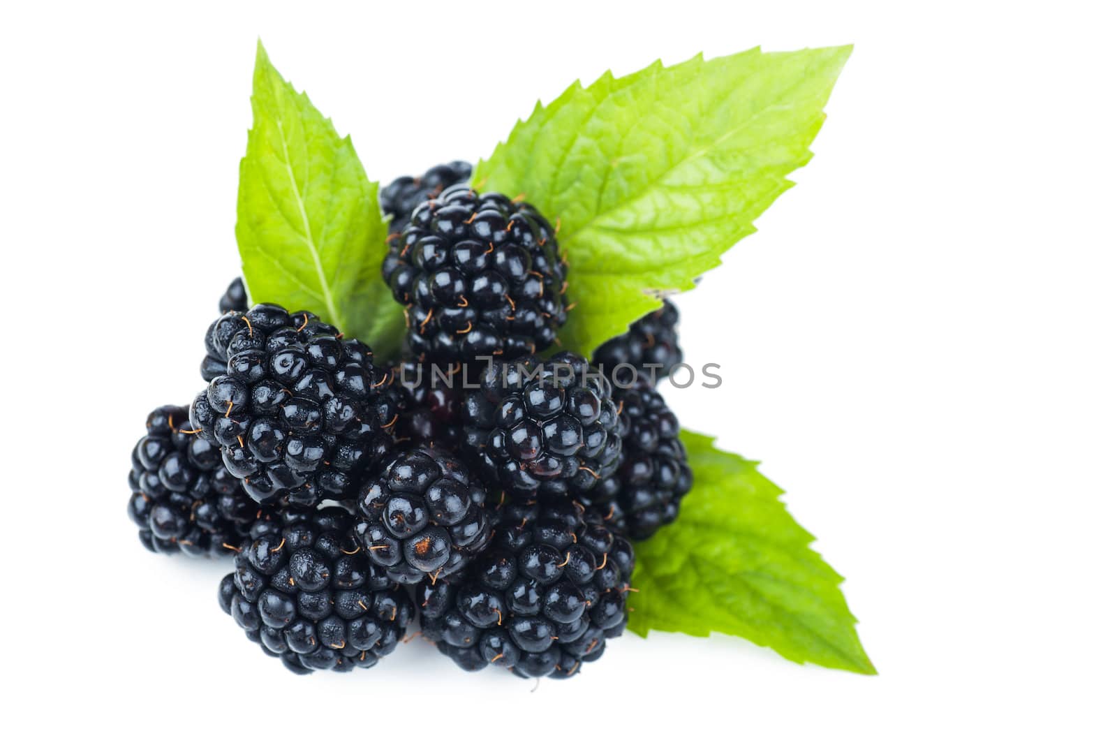 Macro view of fresh ripe blackberries