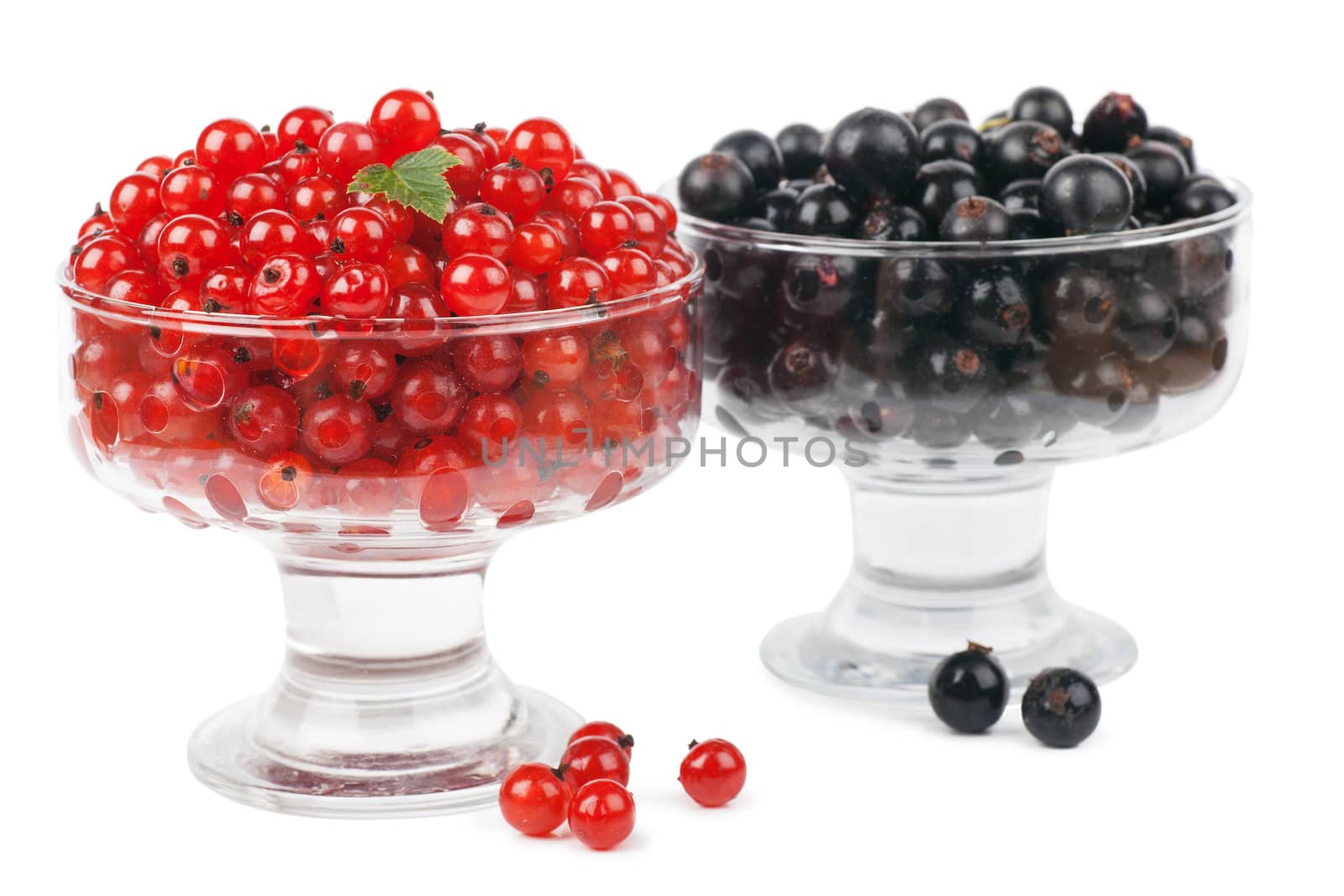 Berries by AGorohov