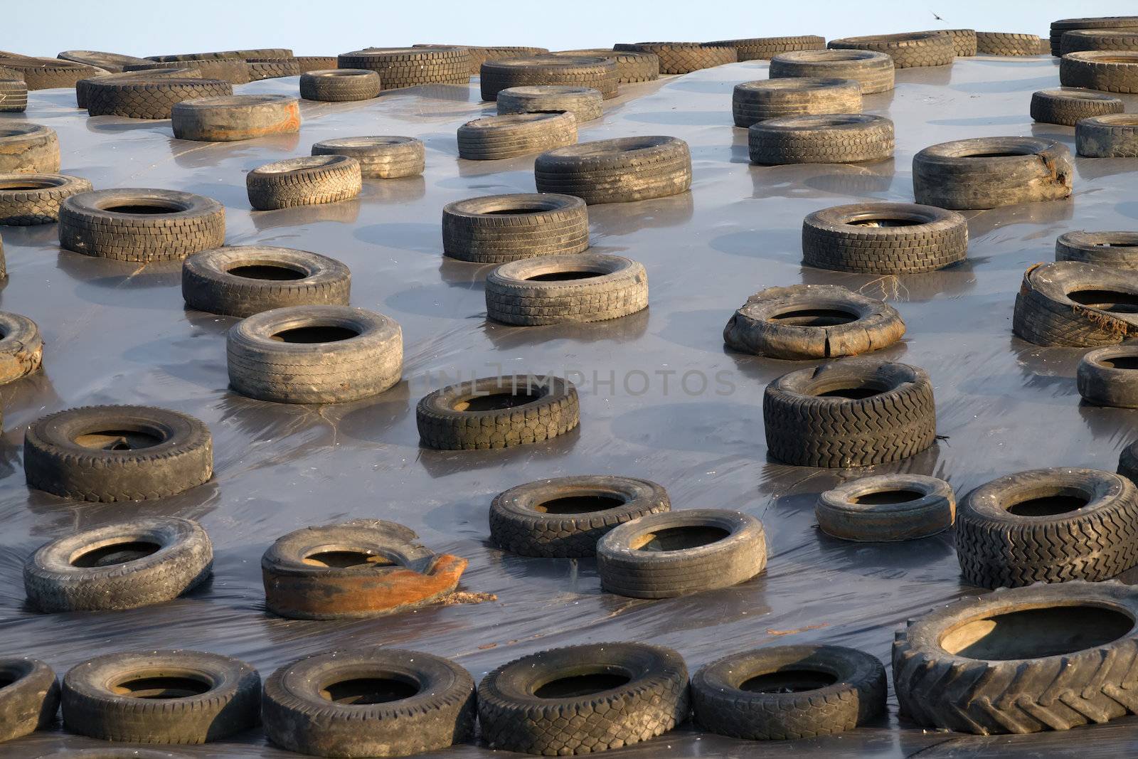 old tires by max51288