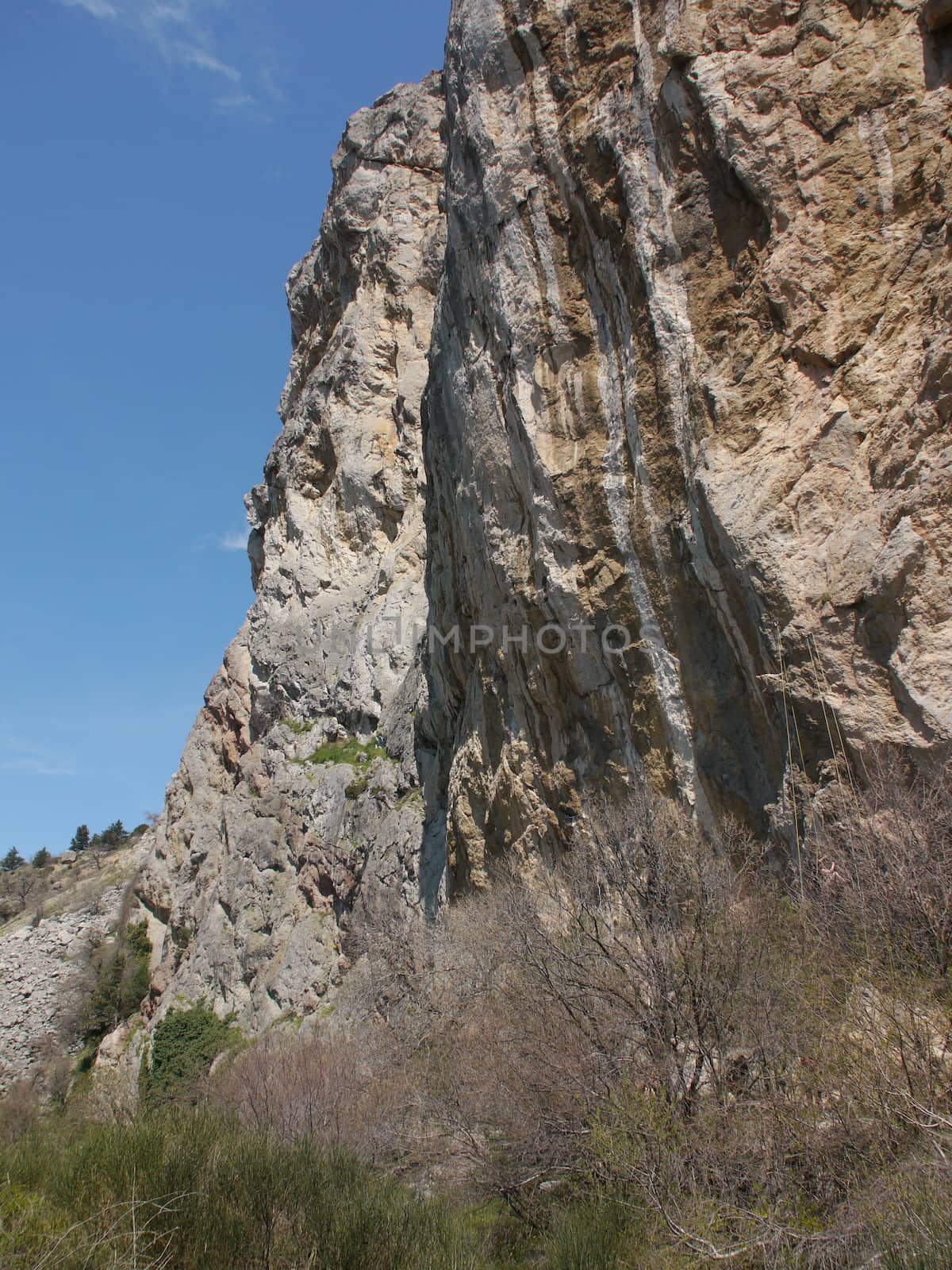 tree, sky and rock